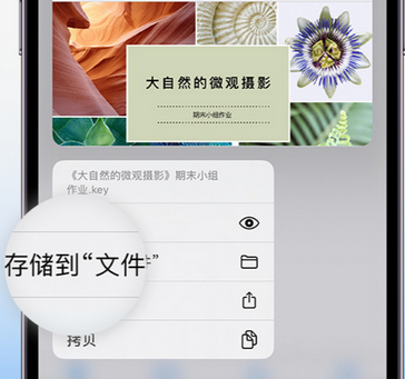 措勤apple维修中心分享iPhone文件应用中存储和找到下载文件