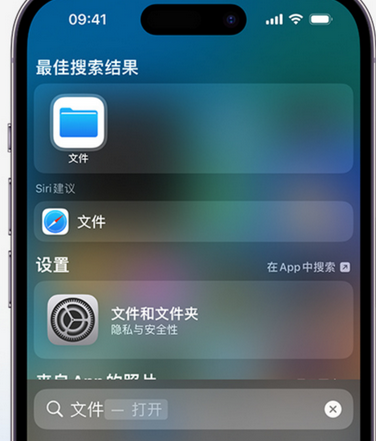 措勤apple维修中心分享iPhone文件应用中存储和找到下载文件 