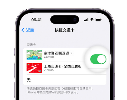 措勤apple维修点分享iPhone上更换Apple Pay快捷交通卡手绘卡面 