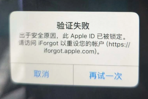 措勤iPhone维修分享iPhone上正常登录或使用AppleID怎么办 