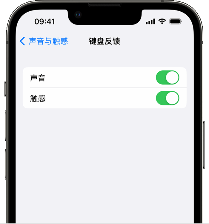 措勤苹果14维修店分享如何在 iPhone 14 机型中使用触感键盘 